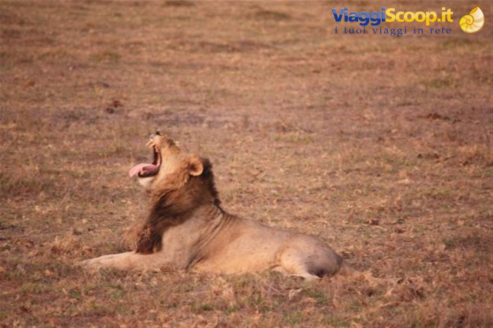 Foto di viaggio in KENYA