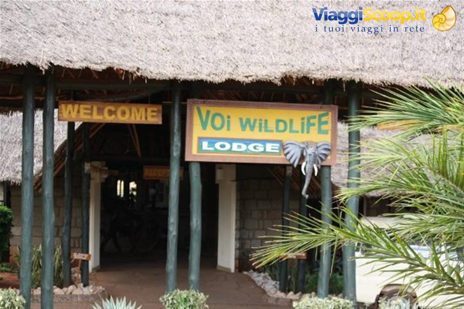 Foto di viaggio in KENYA