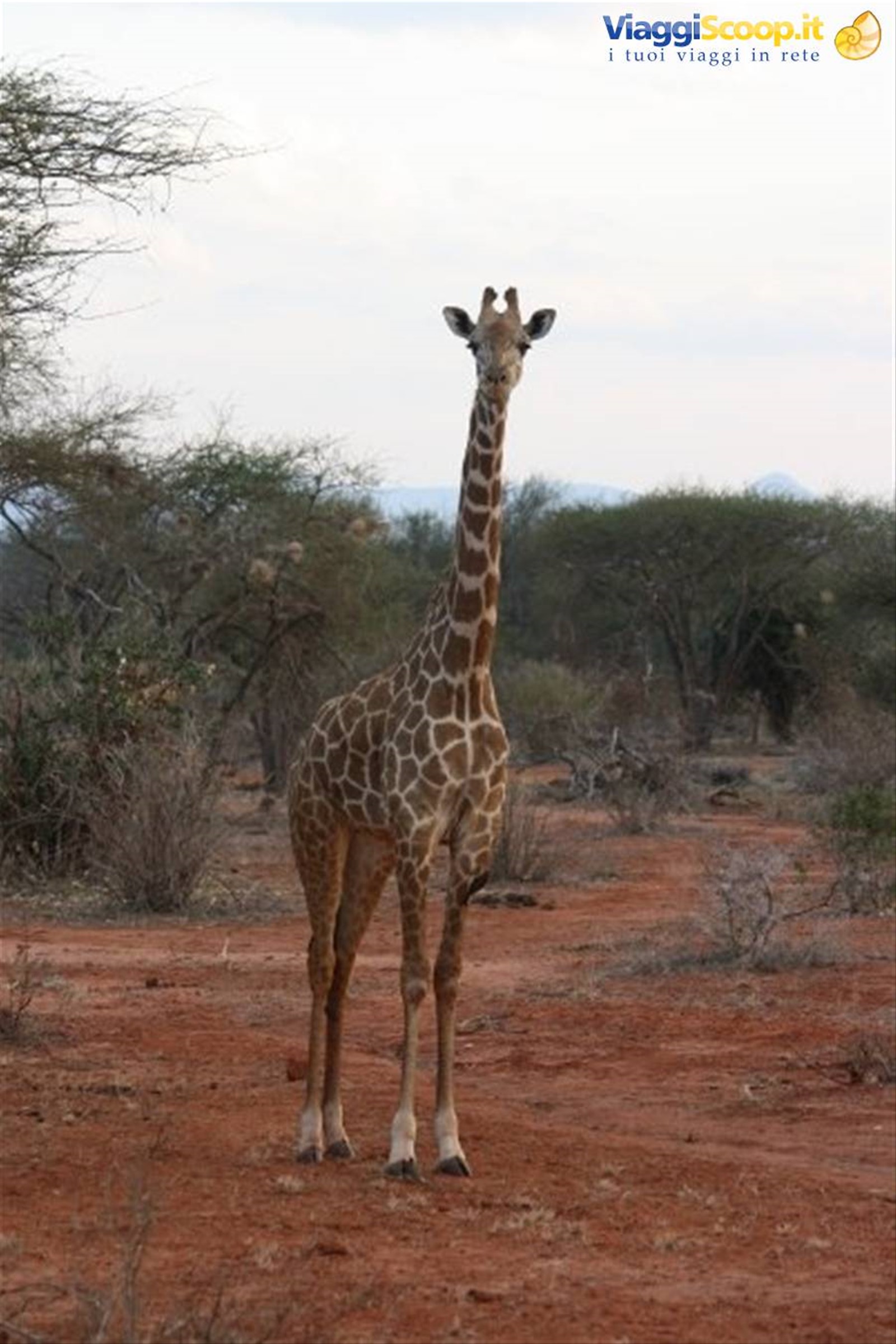 Foto di viaggio in KENYA