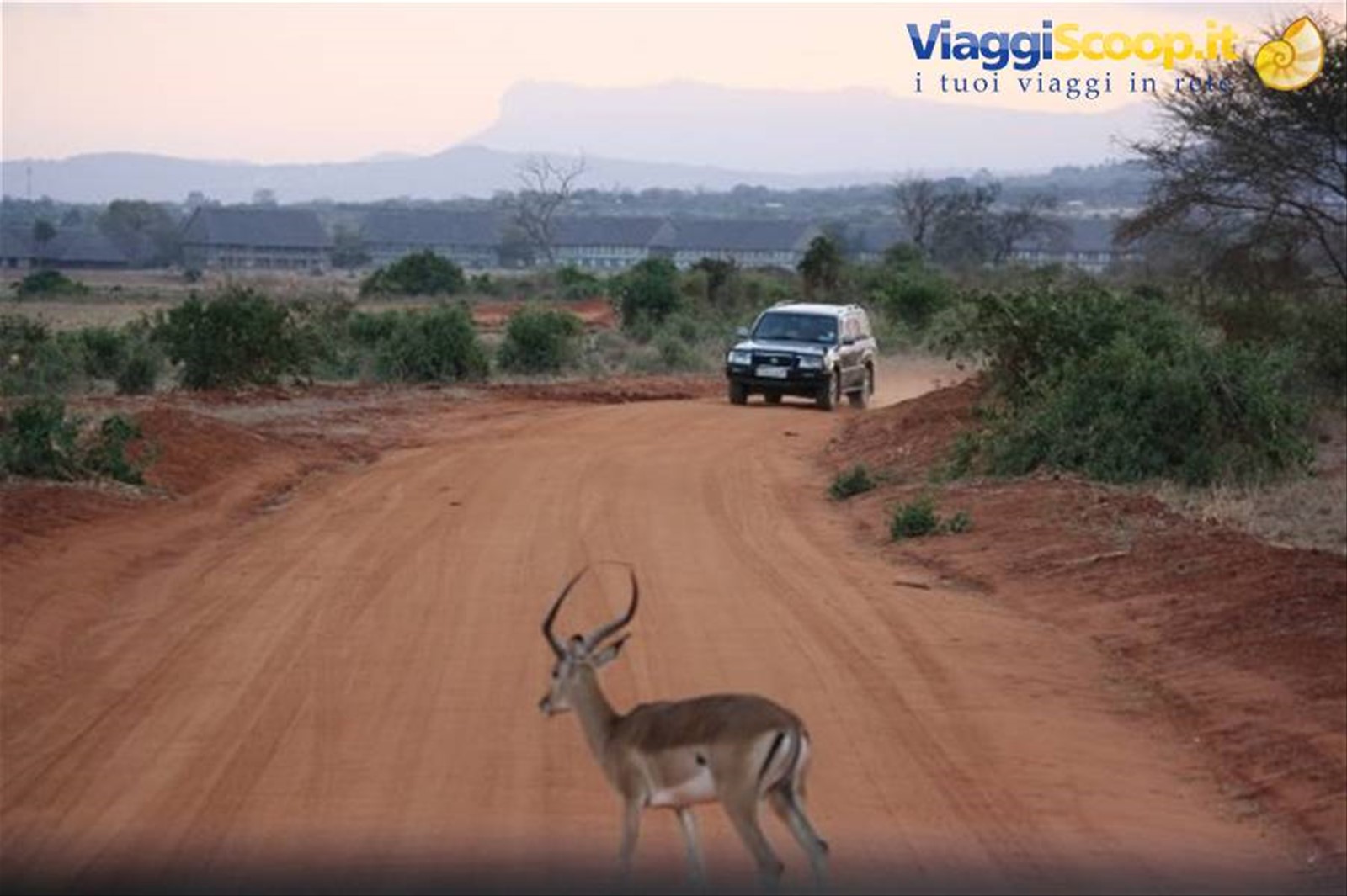 Foto di viaggio in KENYA