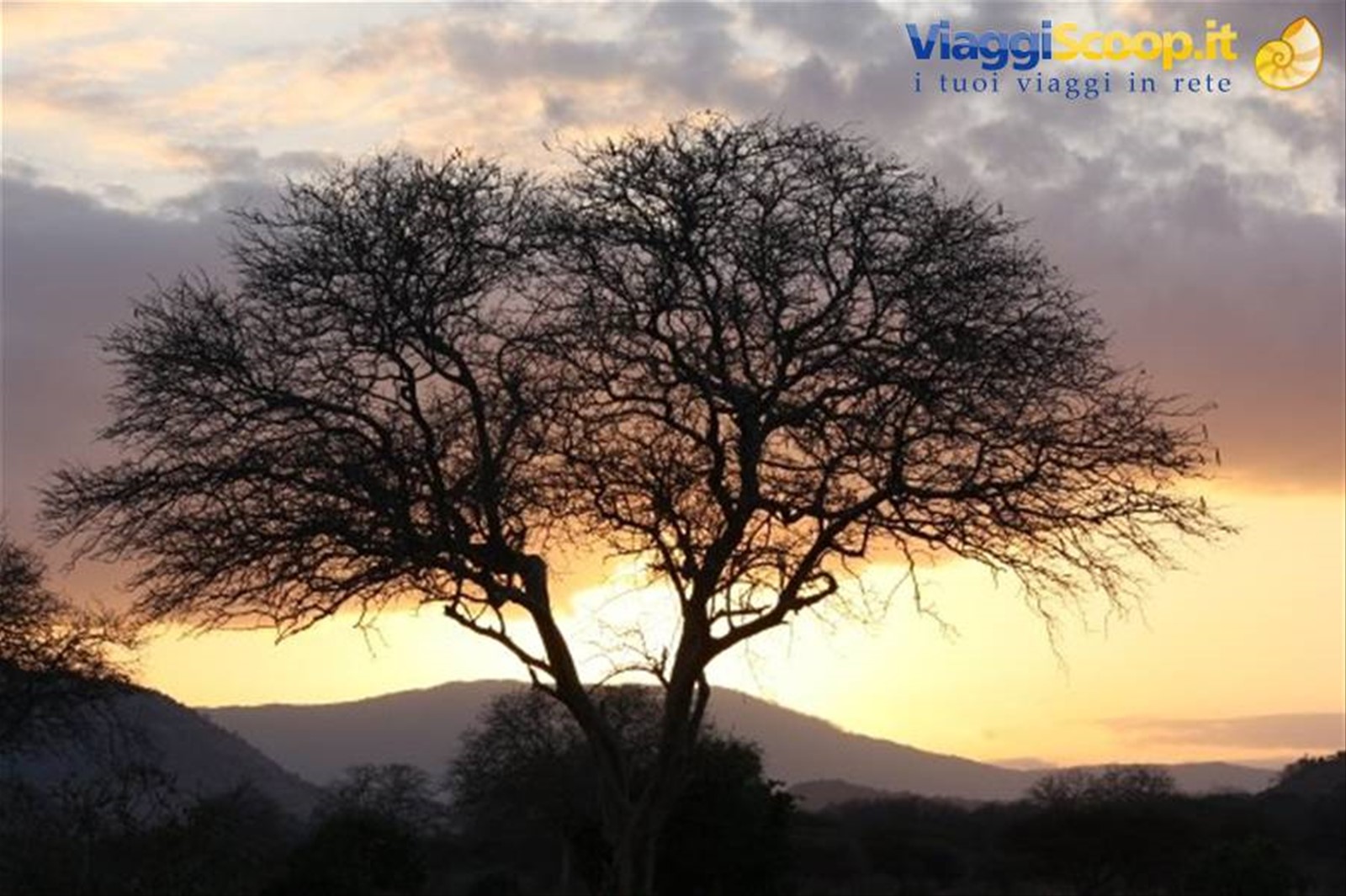 Foto di viaggio in KENYA