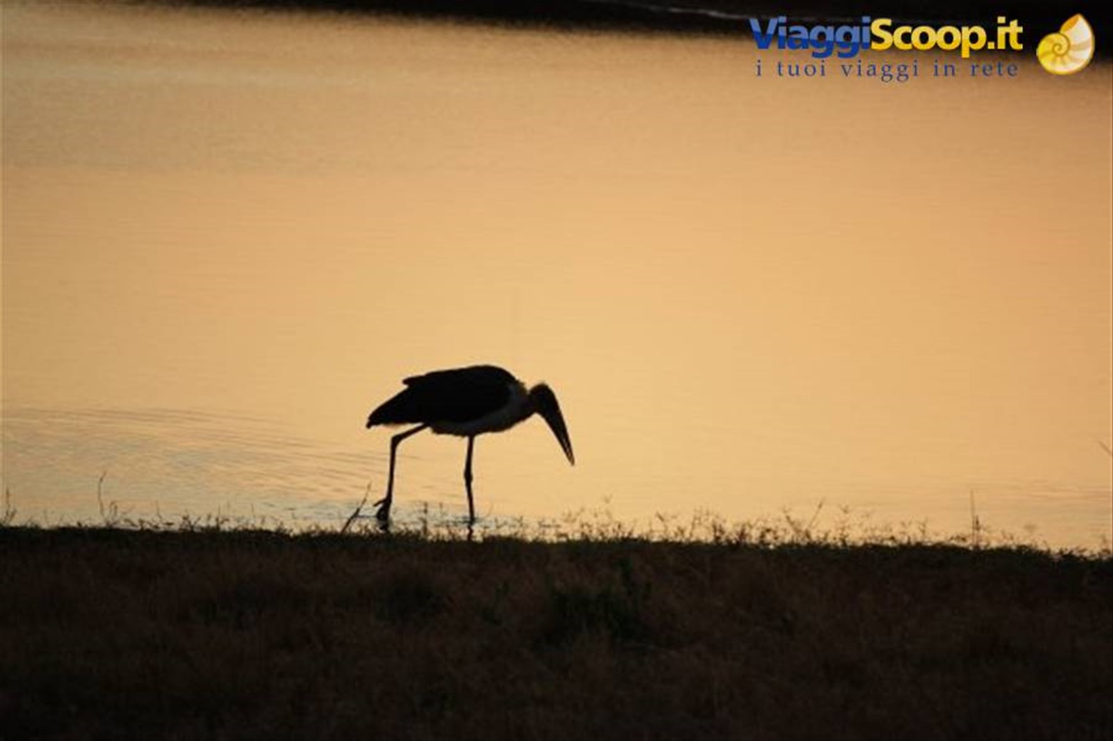 Foto di viaggio in KENYA