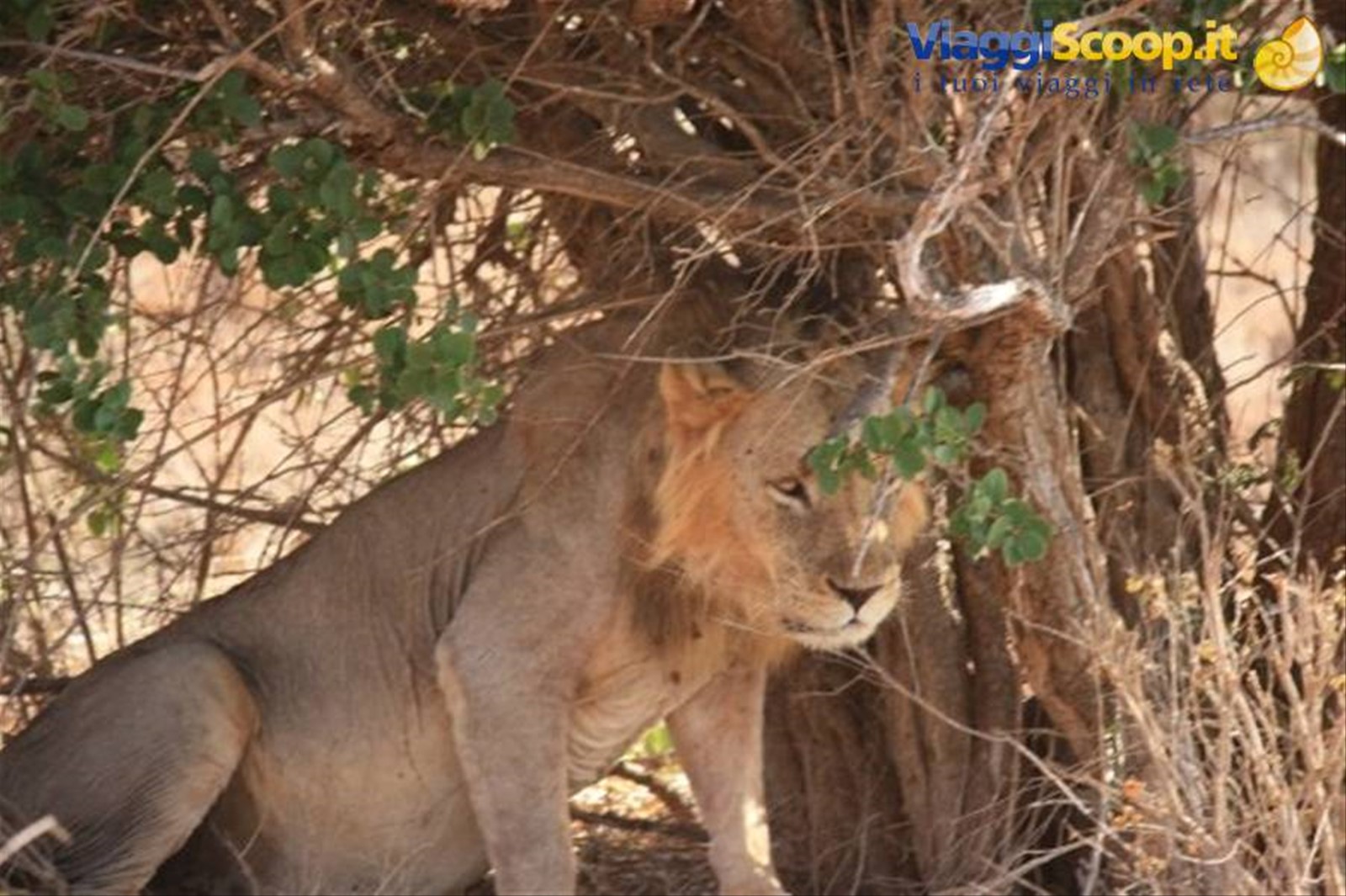 Foto di viaggio in KENYA