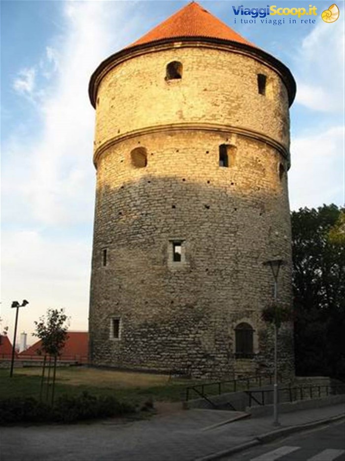 Tallinn