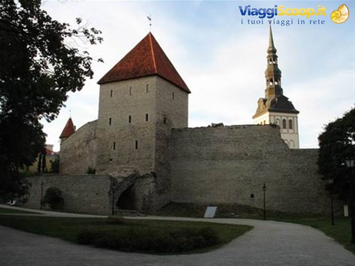 Tallinn