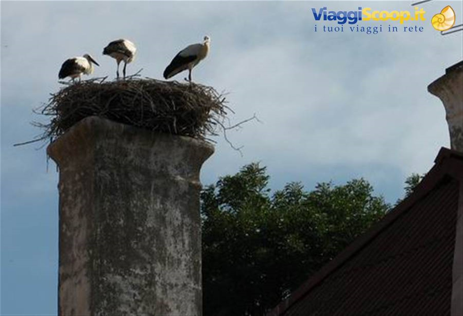 Foto di viaggio in ESTONIA