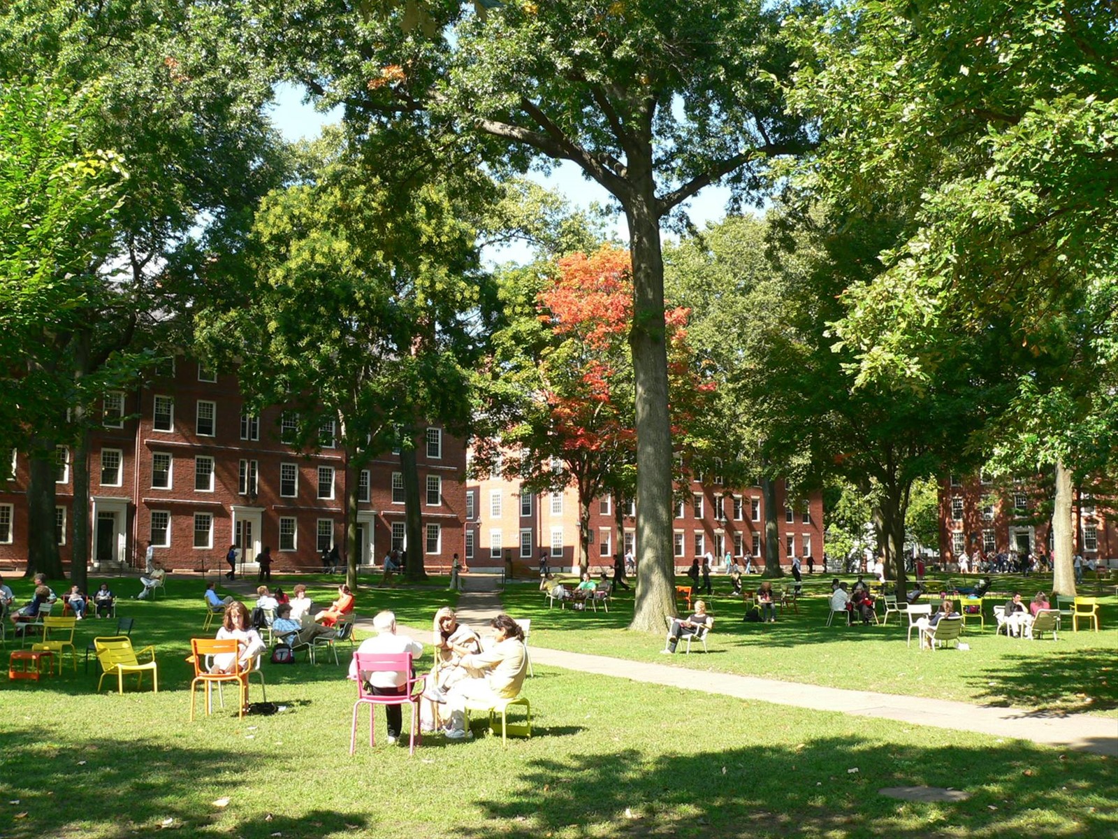 Harvard University