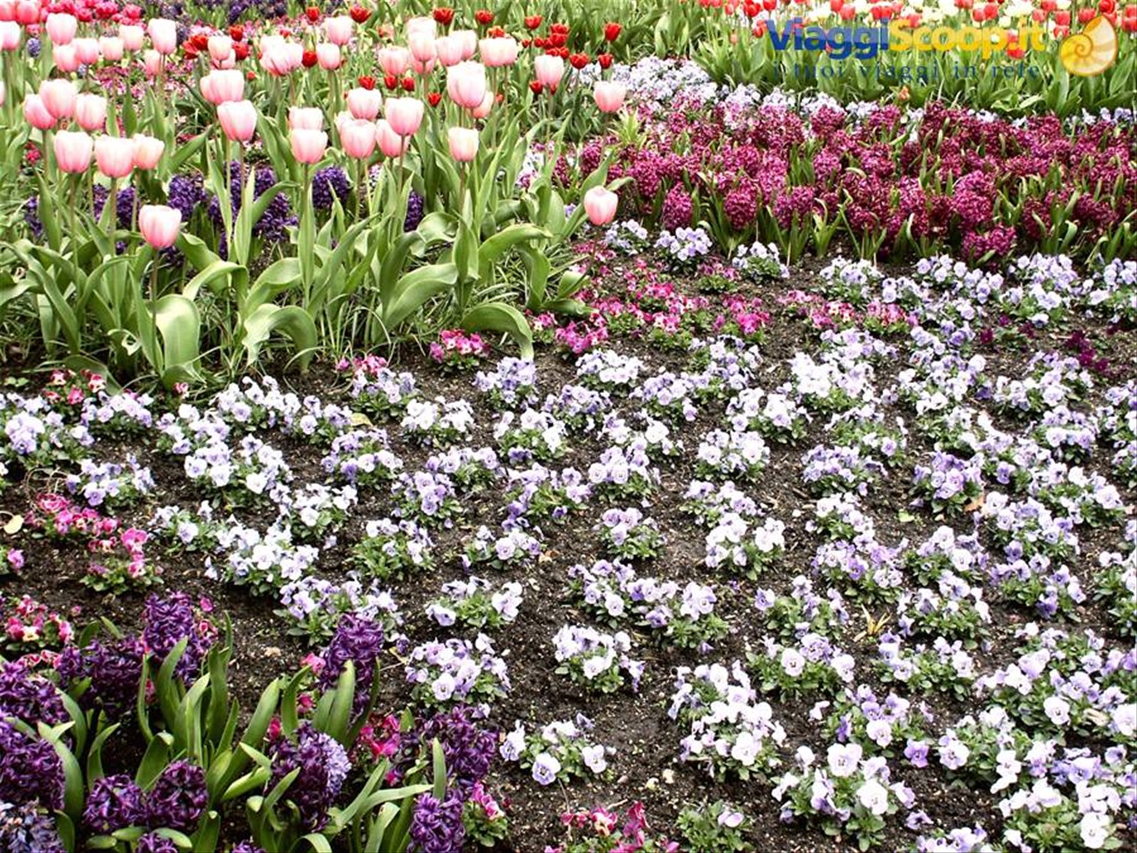 Mainau