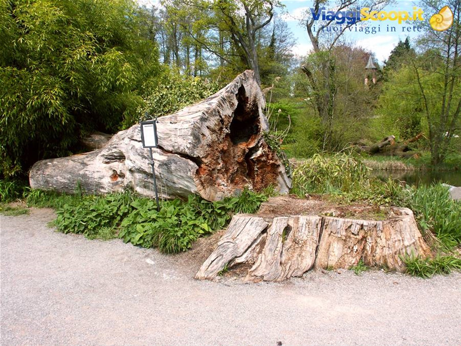 Mainau