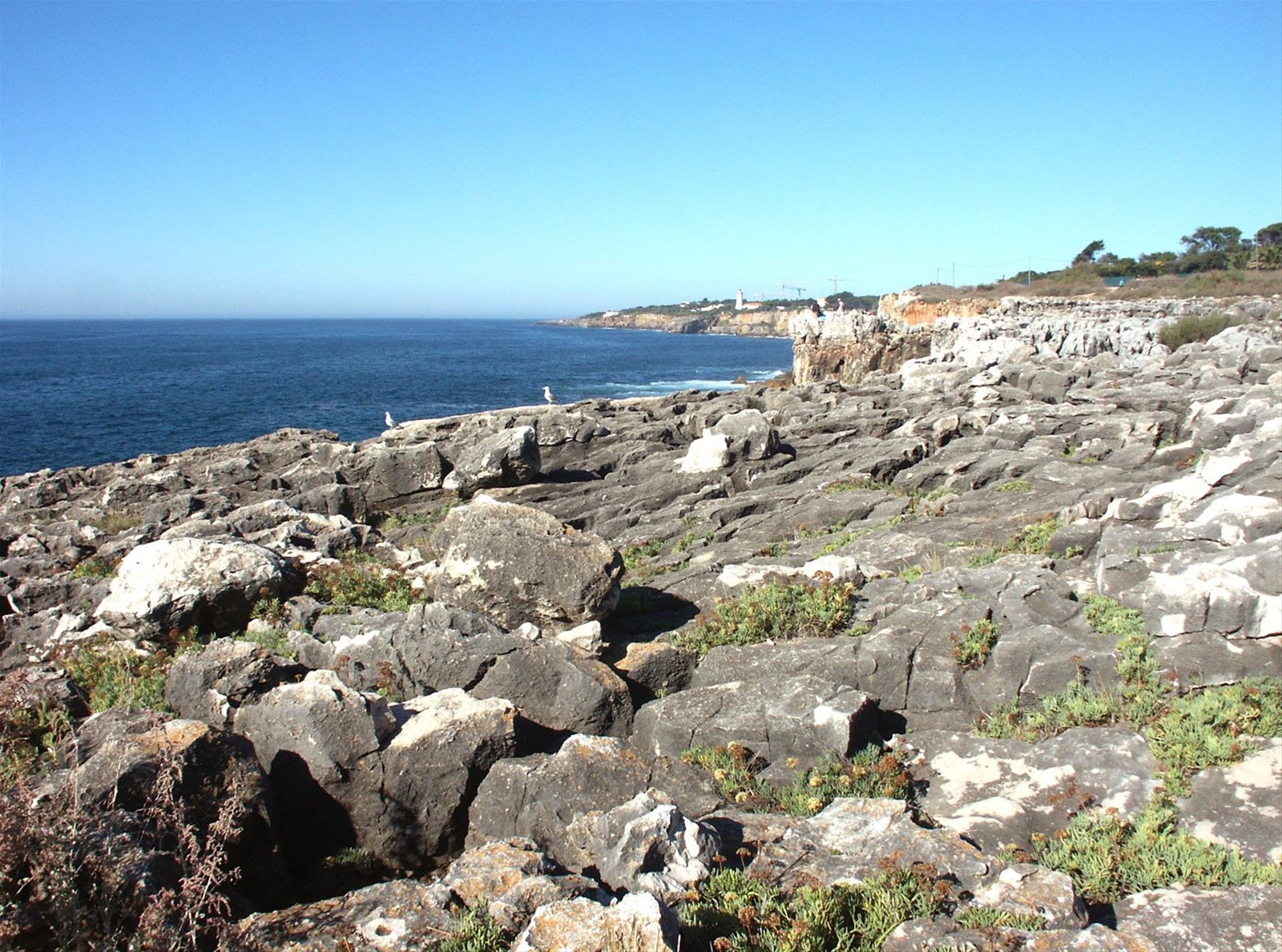 02.01 Boca do Inferno - Scogliera sull'Atlantico