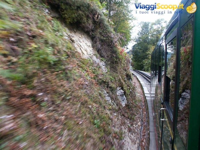 Salzkammergut 018 - St. Wolfgang - Treno SchafbergBahn