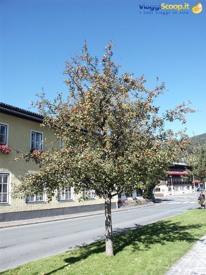 Altenmarkt - 001