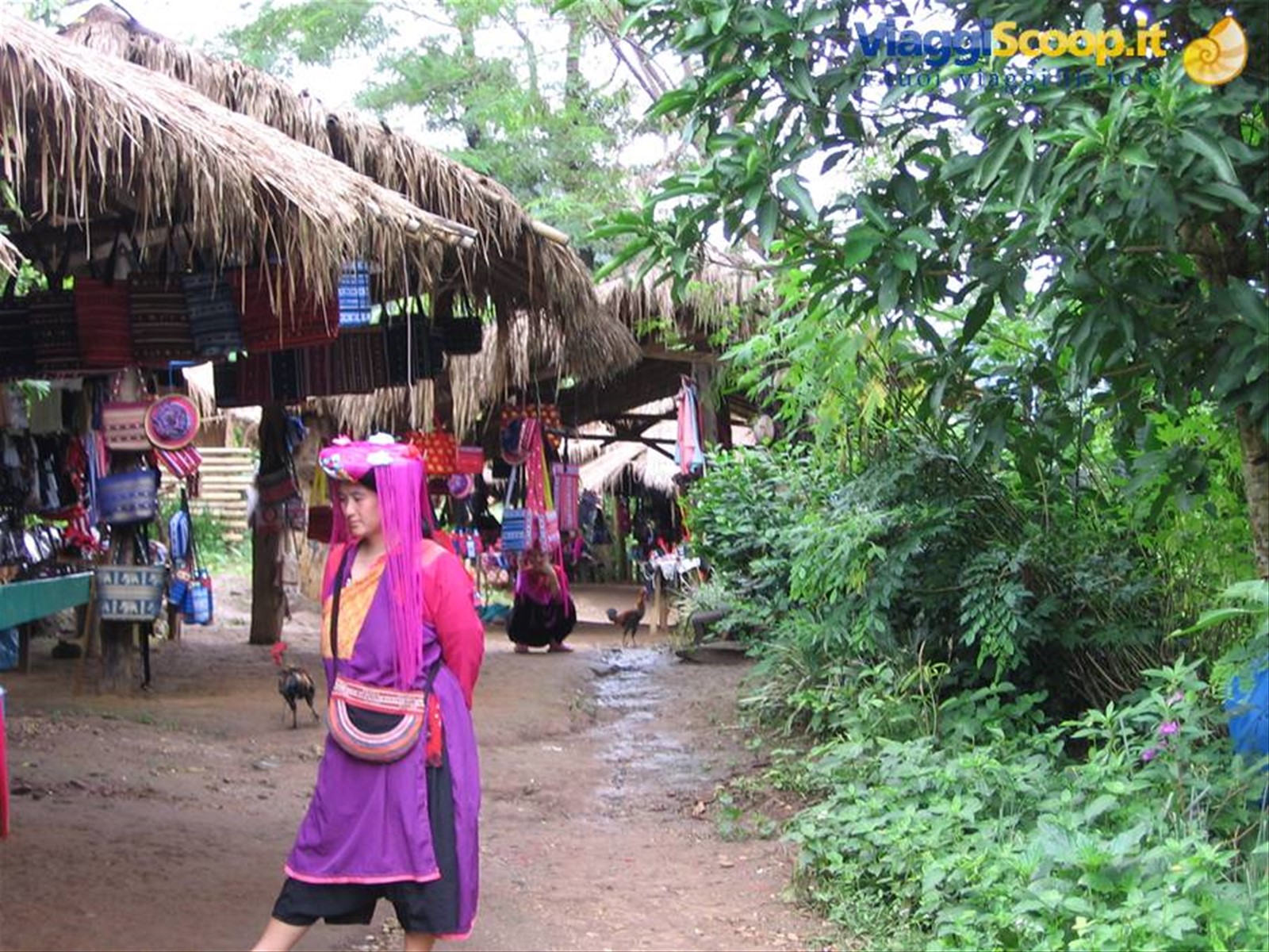Chiang Mai Maetaman