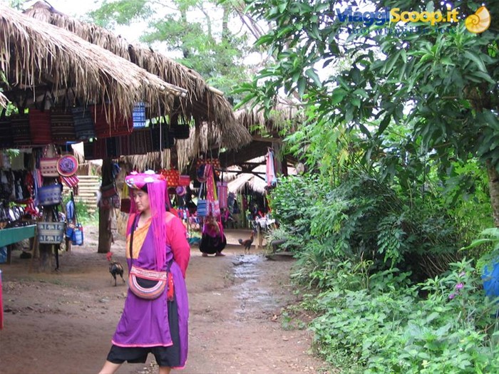 Chiang Mai Maetaman