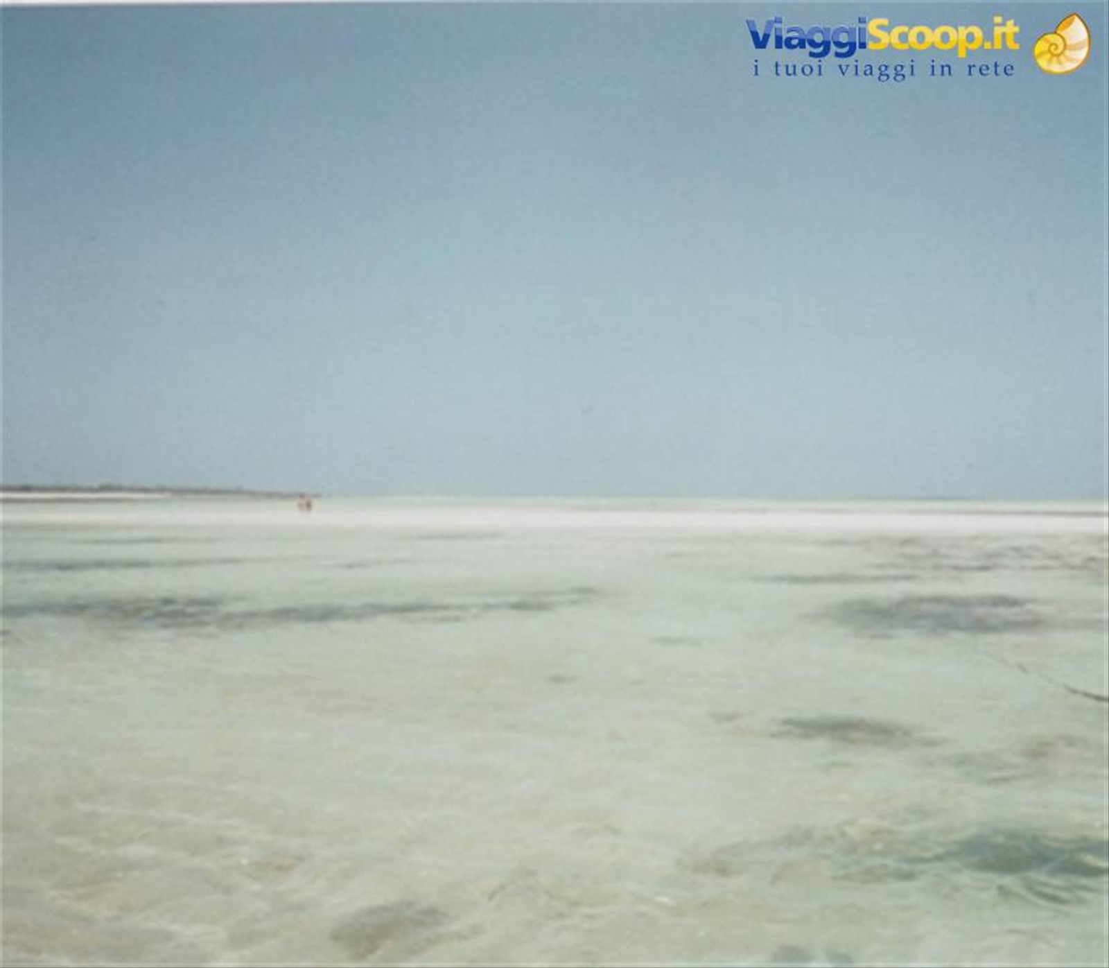 Malindi: il safari marino