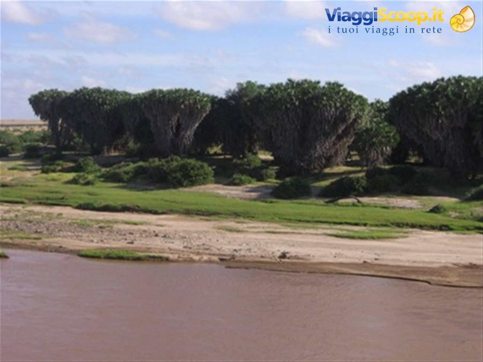 Tsavo East