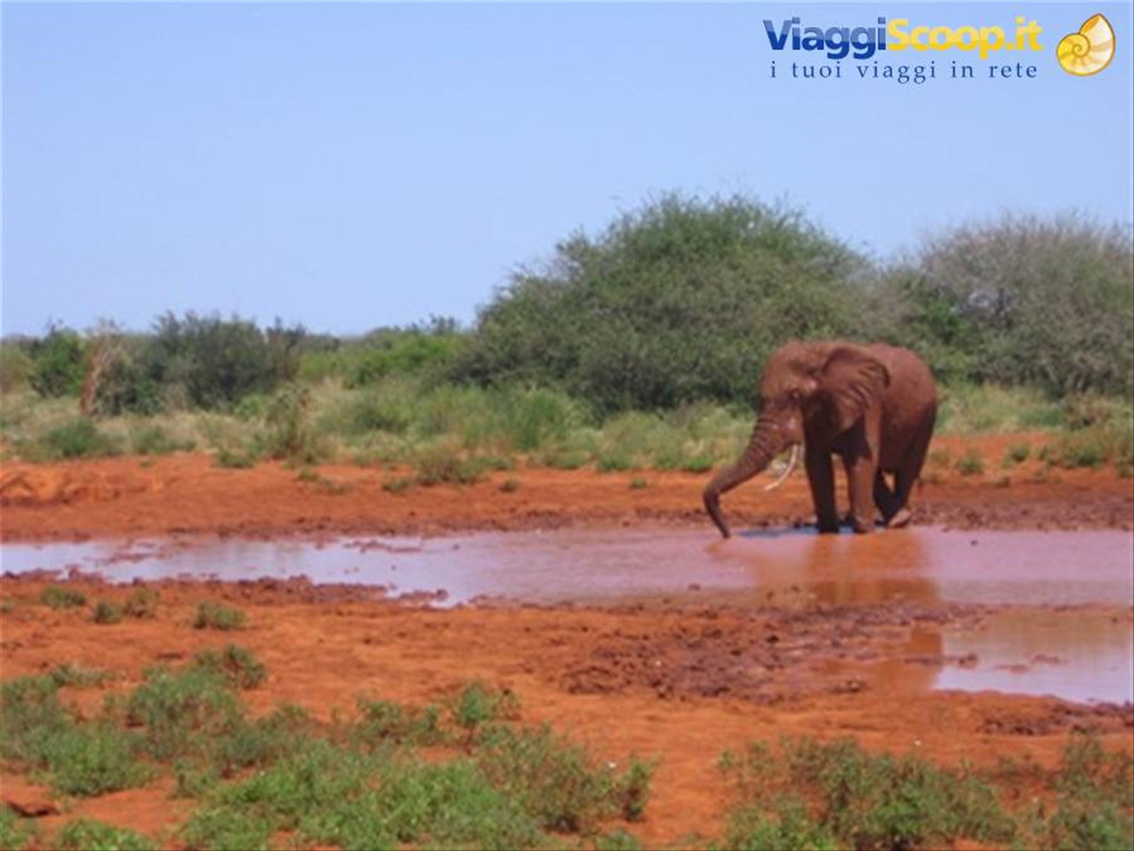 Tsavo East