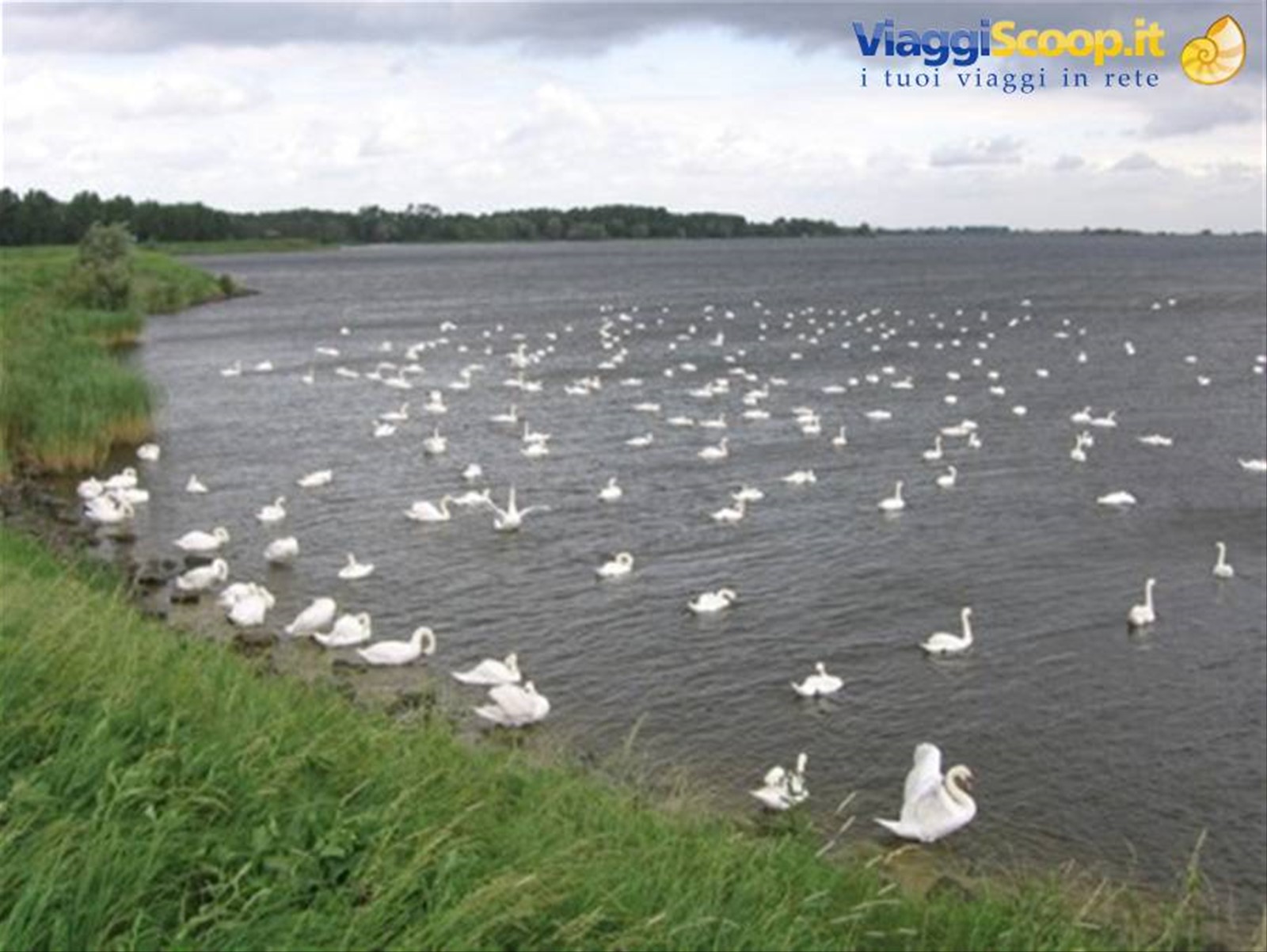 Uitdam