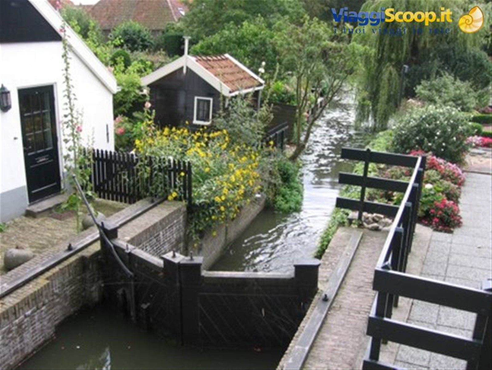Edam