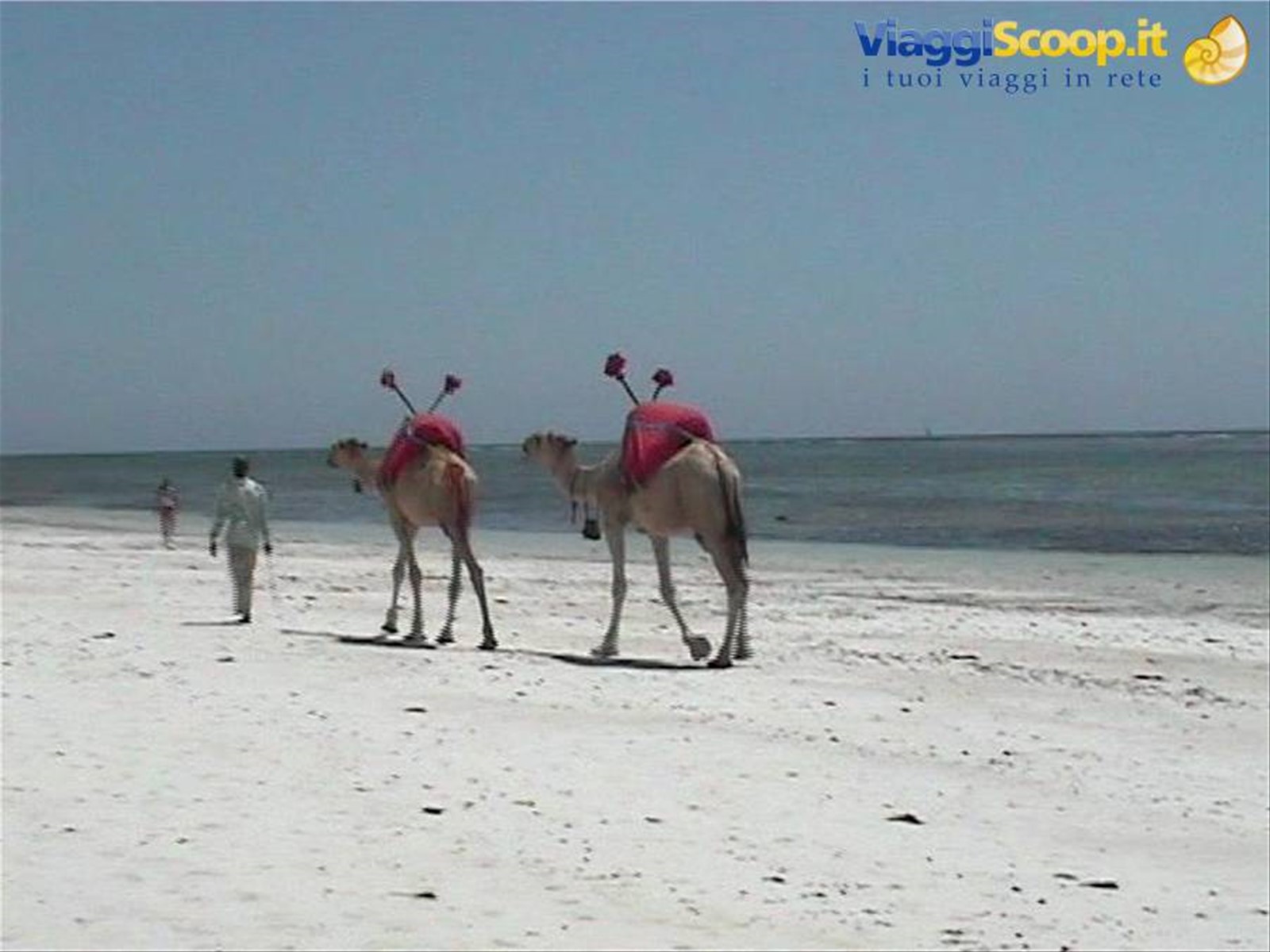 Foto di viaggio in KENYA