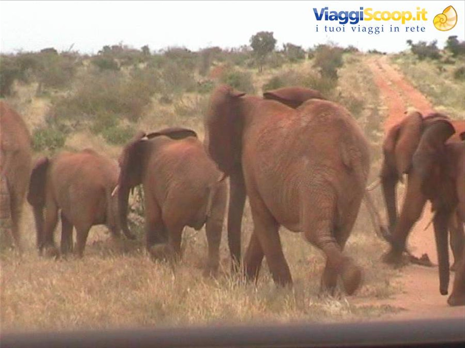 Foto di viaggio in KENYA