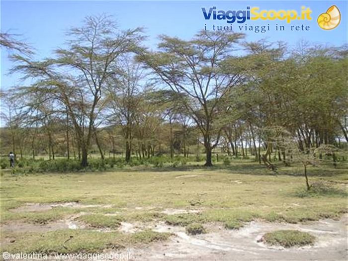 naivasha