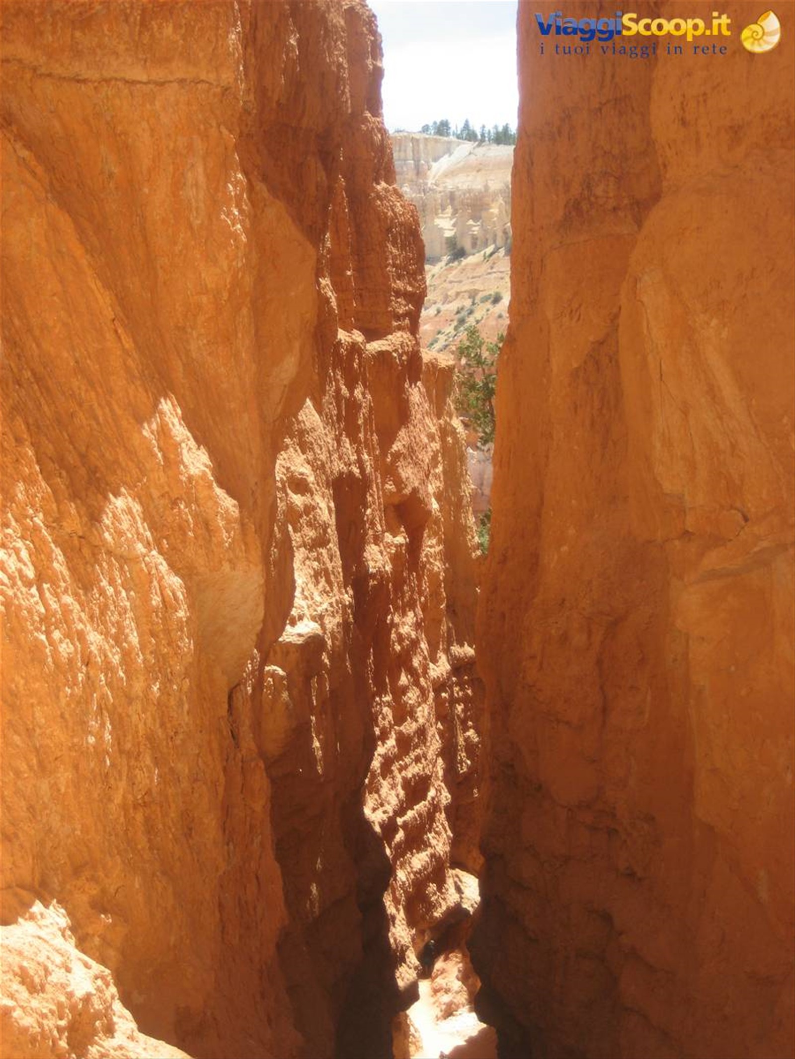 NAVAJO LOOP
