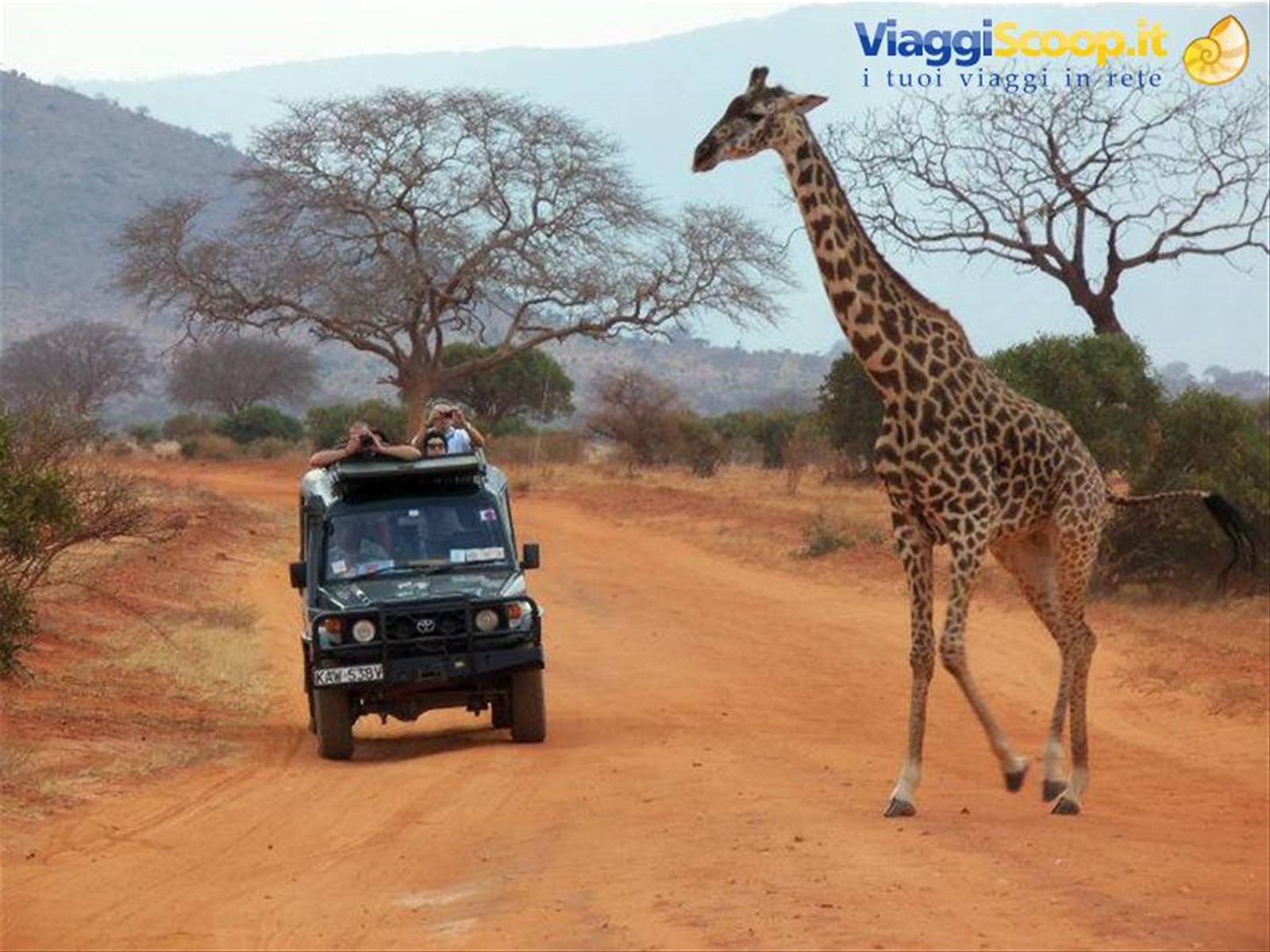 guida tsavo est