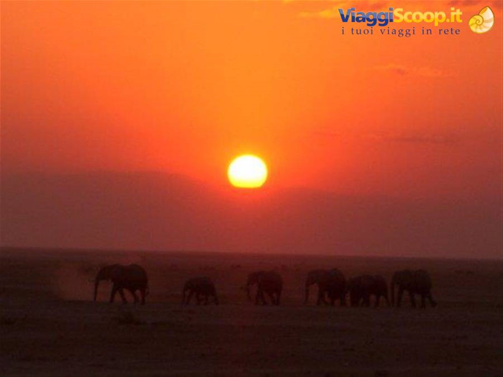 tramonto ngutuni