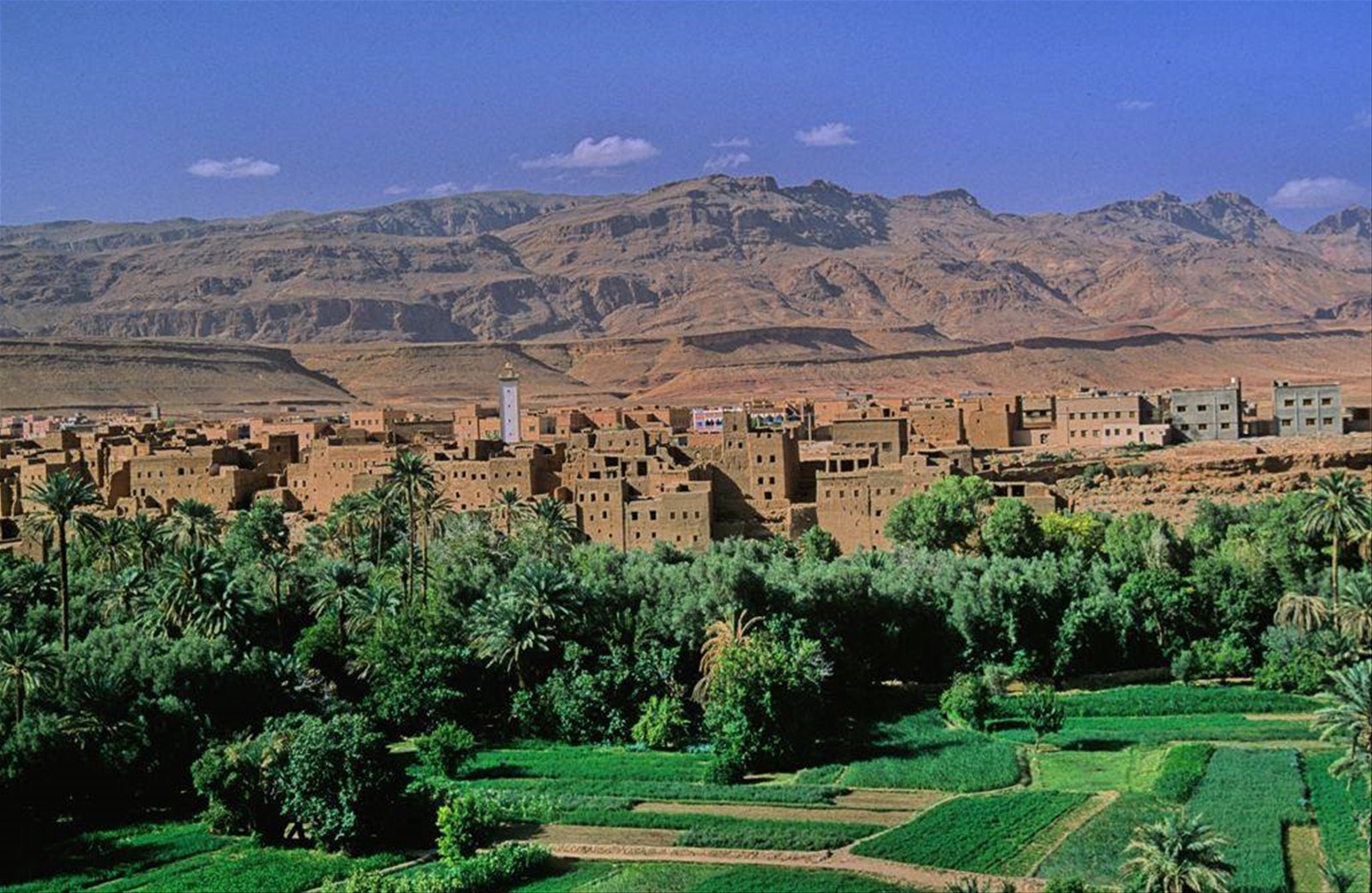 la valleé di daraa a zagora