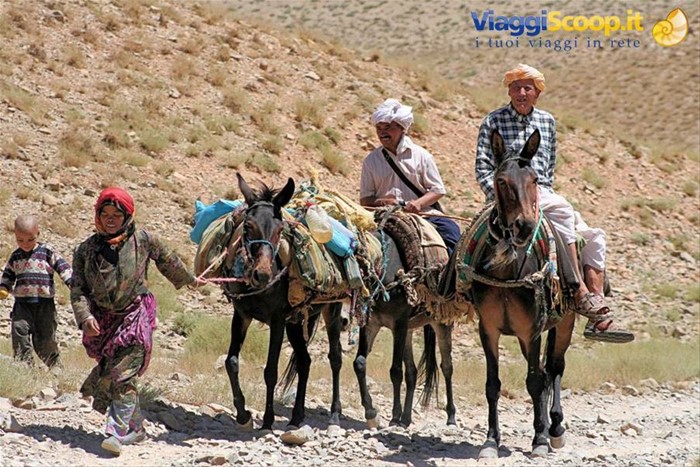 berbere in montagne di marocco
