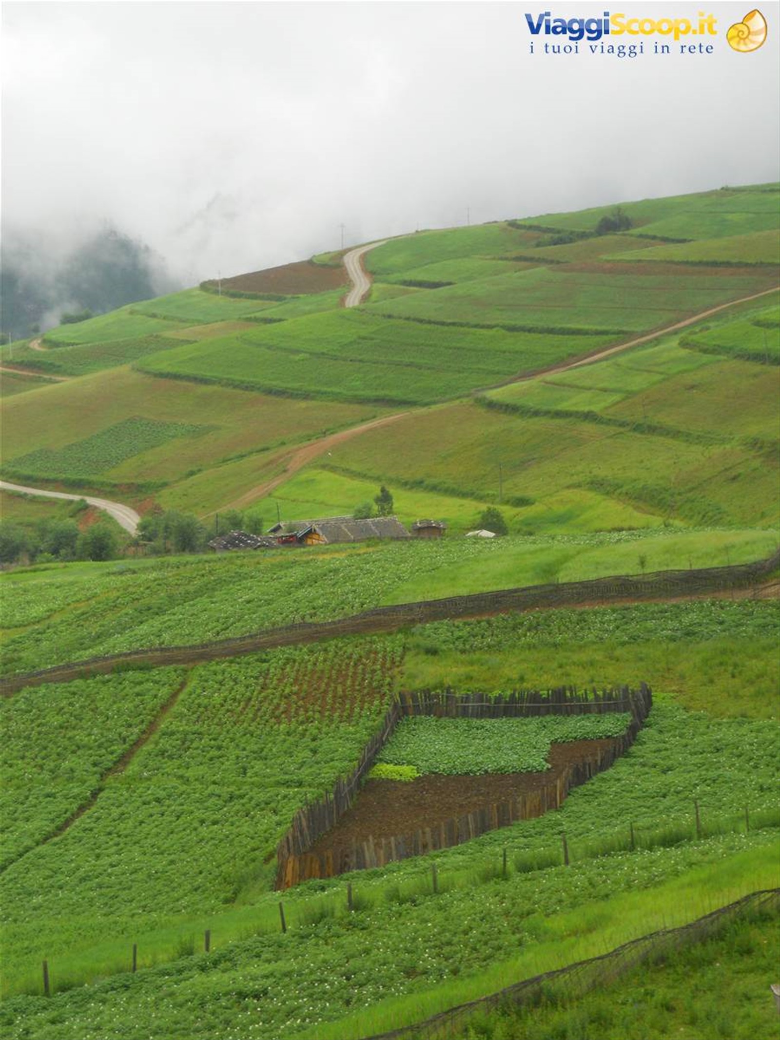 Foto di viaggio in CINA