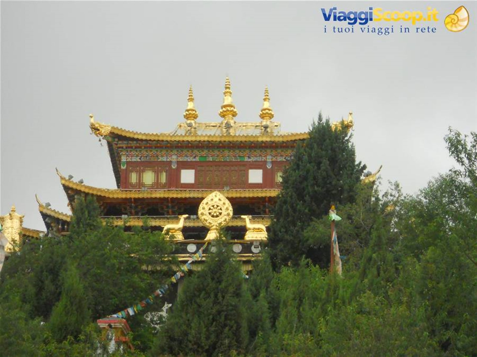 Foto di viaggio in CINA