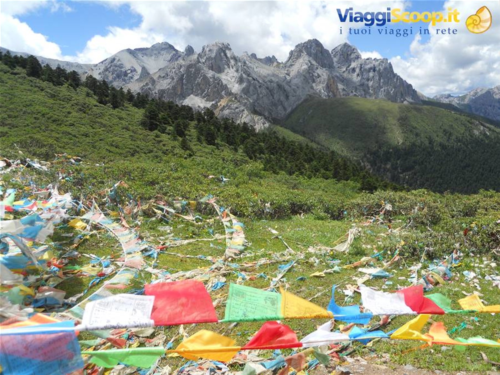 colle a 4500 m - Sichuan