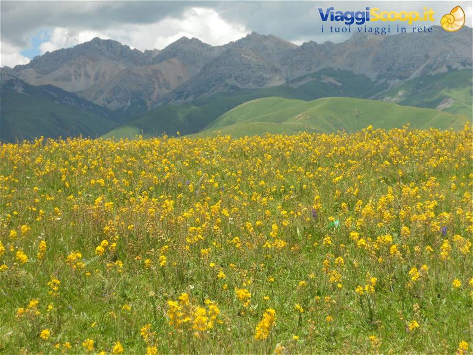 Foto di viaggio in CINA