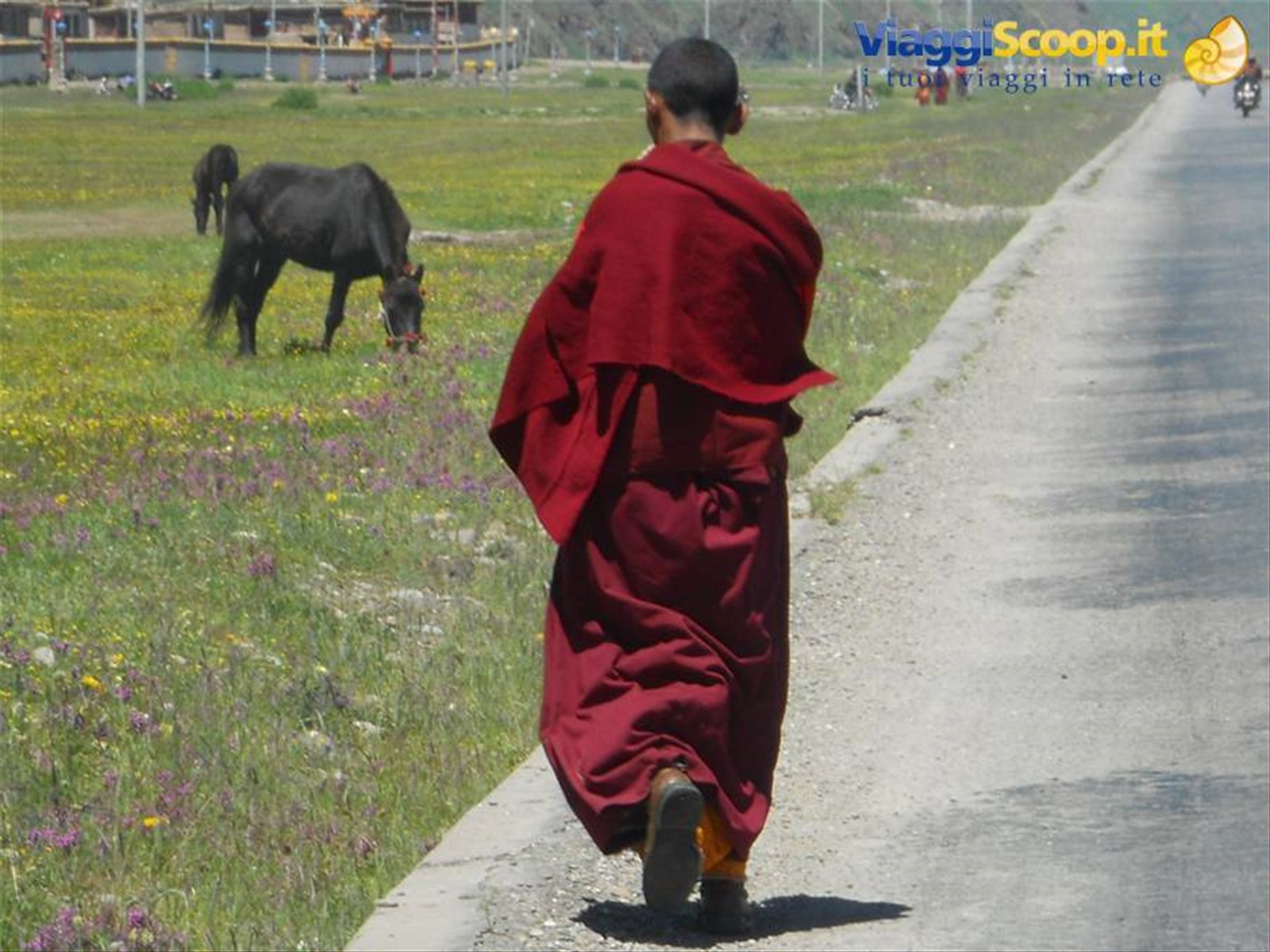 Foto di viaggio in CINA