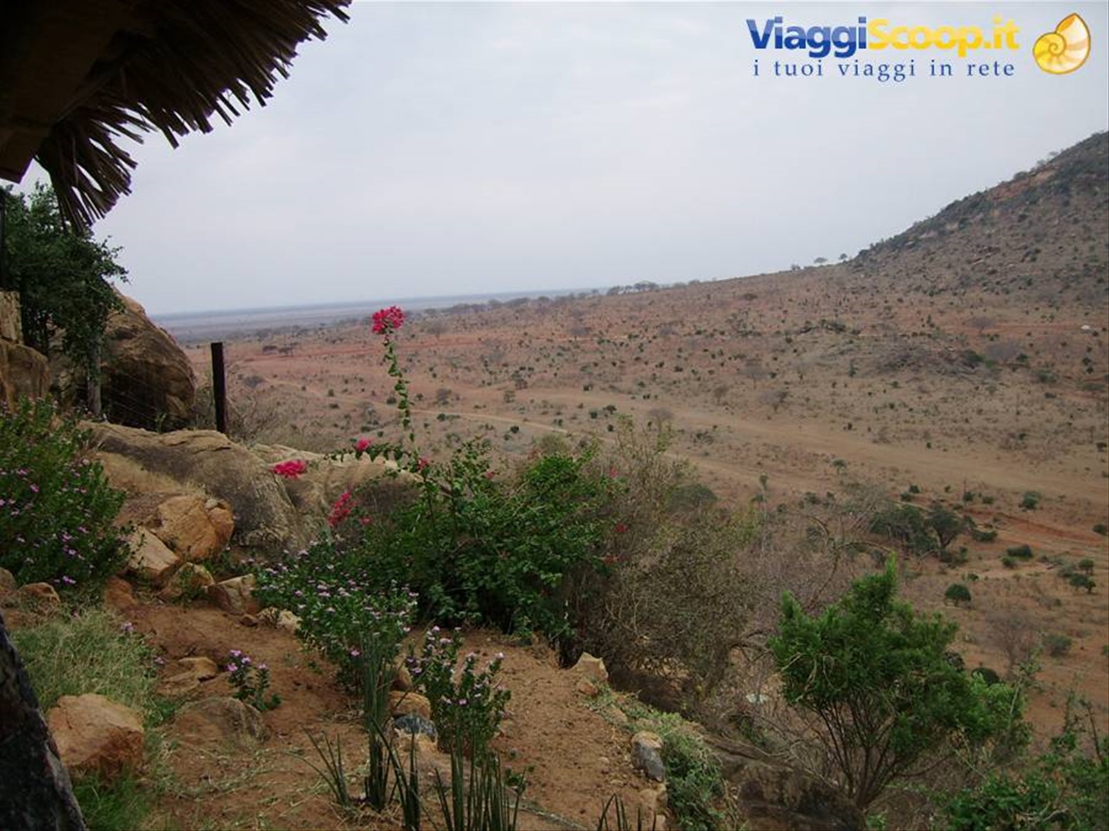 Kenya - veduta sul Parco