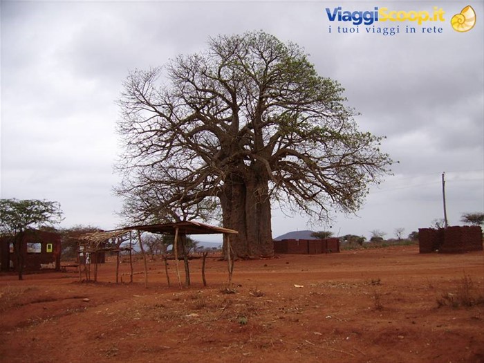 In viaggio verso la Tanzania