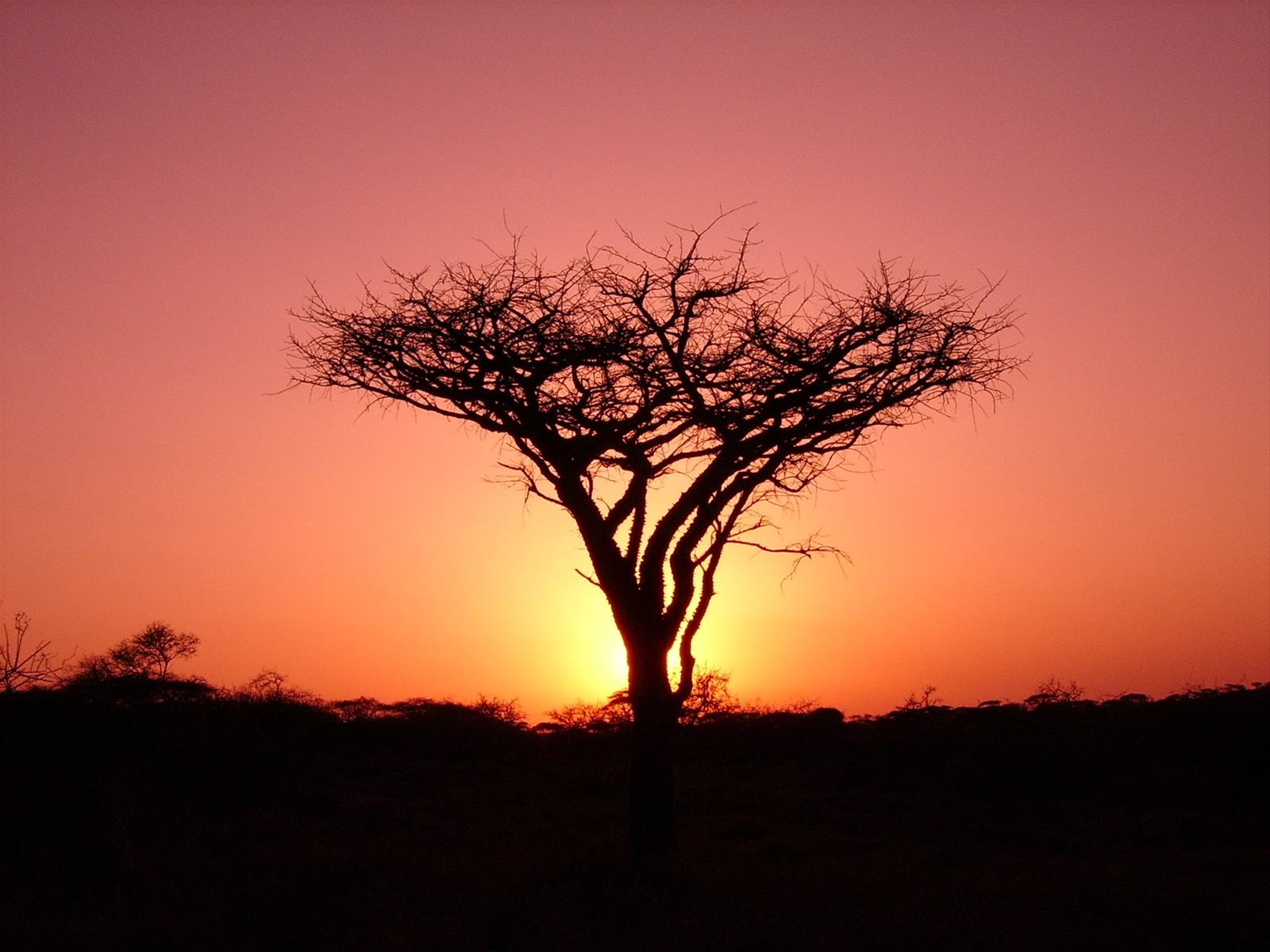 Tramonto al Camel Camp