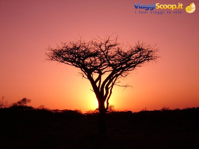 Tramonto al Camel Camp