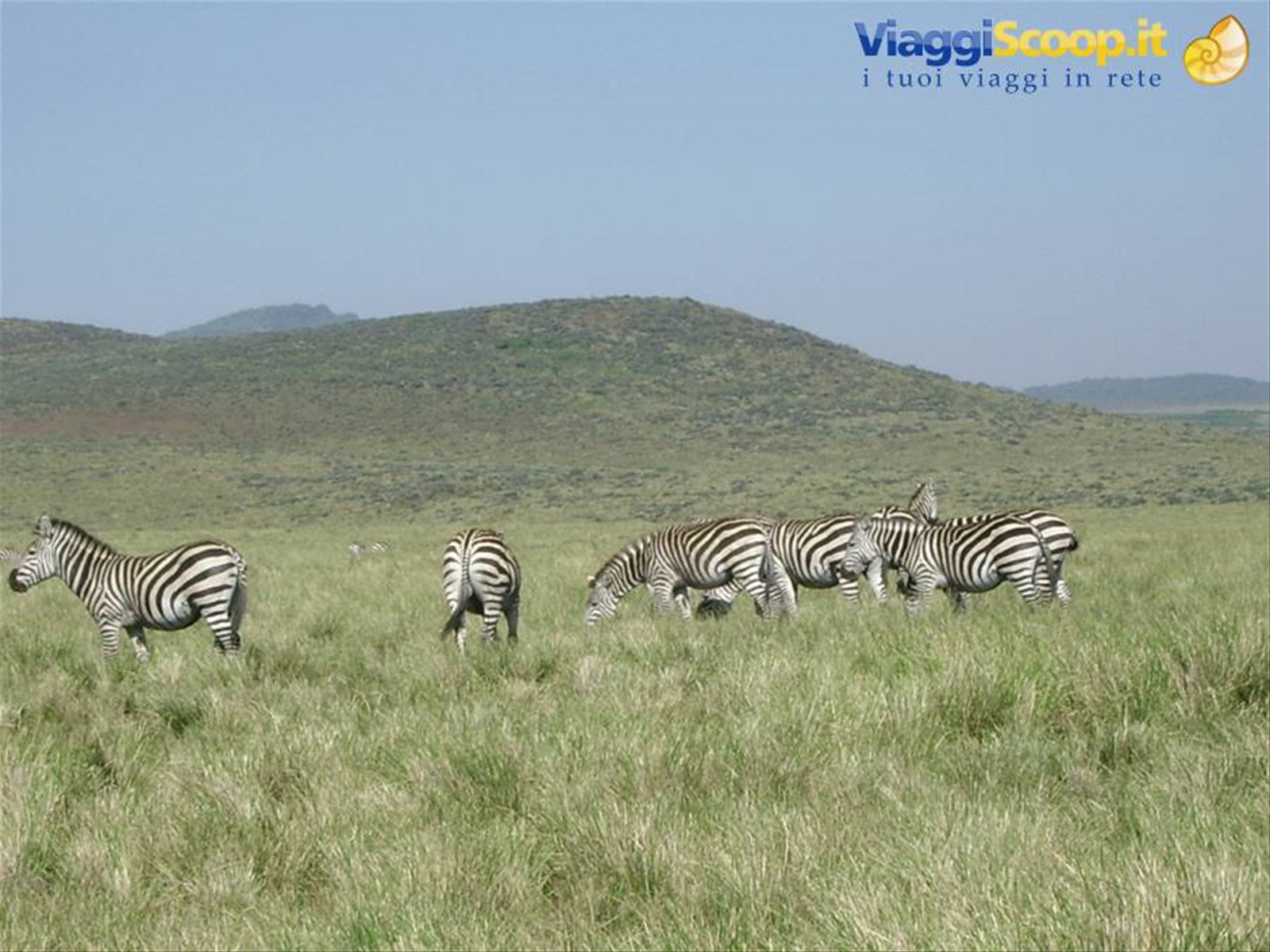Foto di viaggio in TANZANIA
