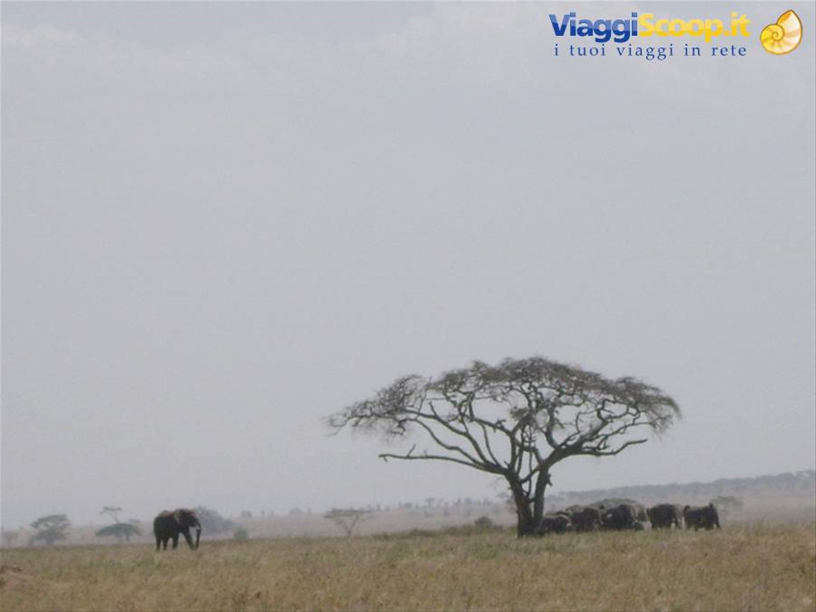 Foto di viaggio in TANZANIA