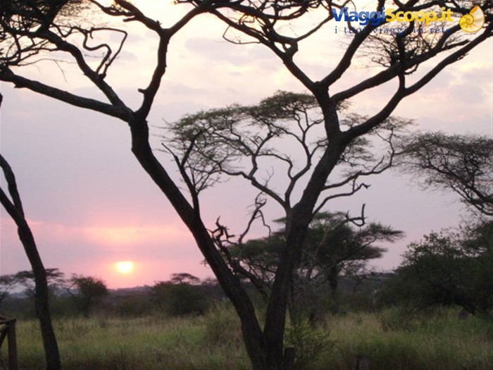 Tramonto al Bush Camp