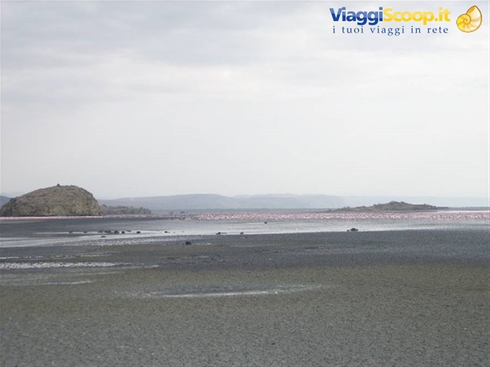 Lake Natron