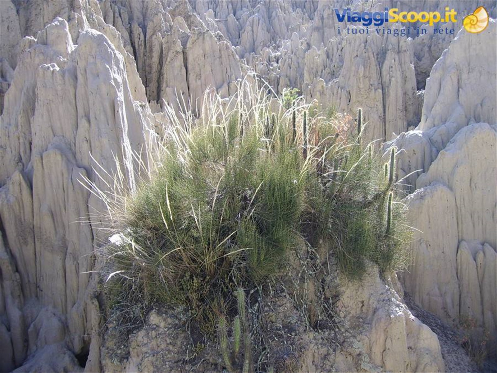Foto di viaggio in BOLIVIA