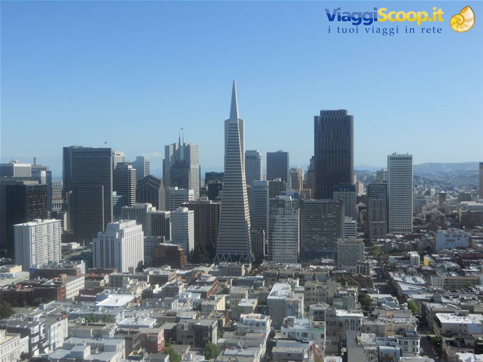 Financial district dalla Coit Tower