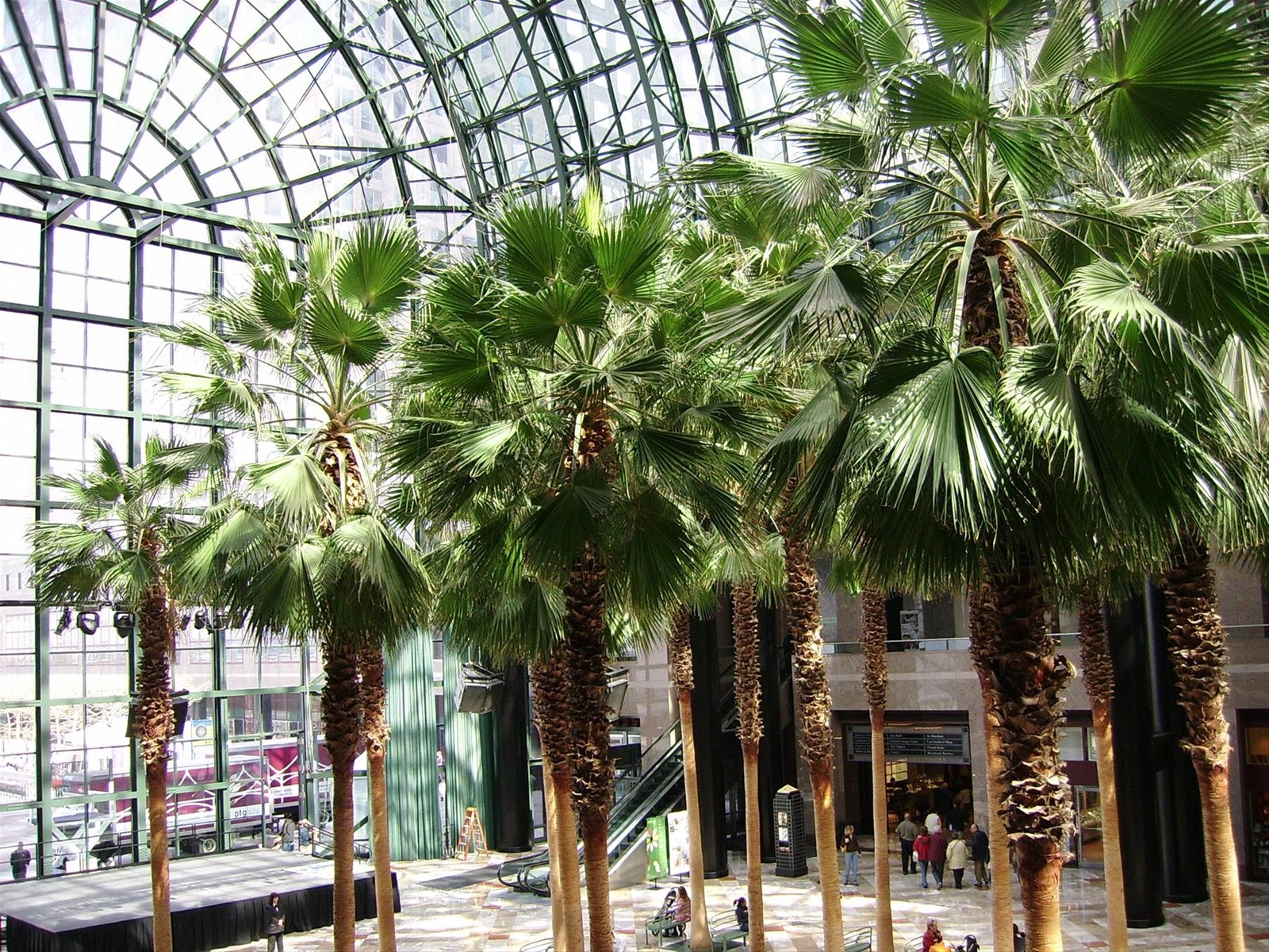 winter garden