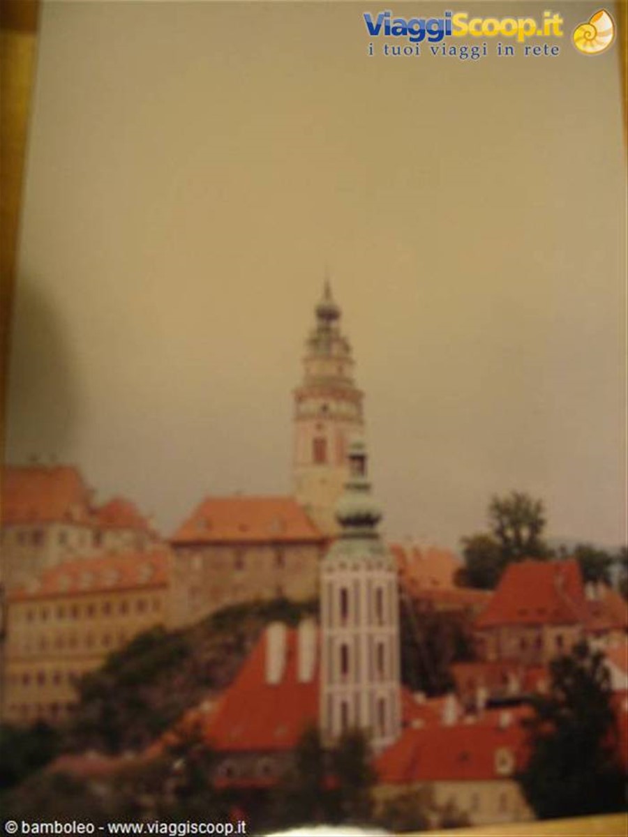 foto di bamboleo
