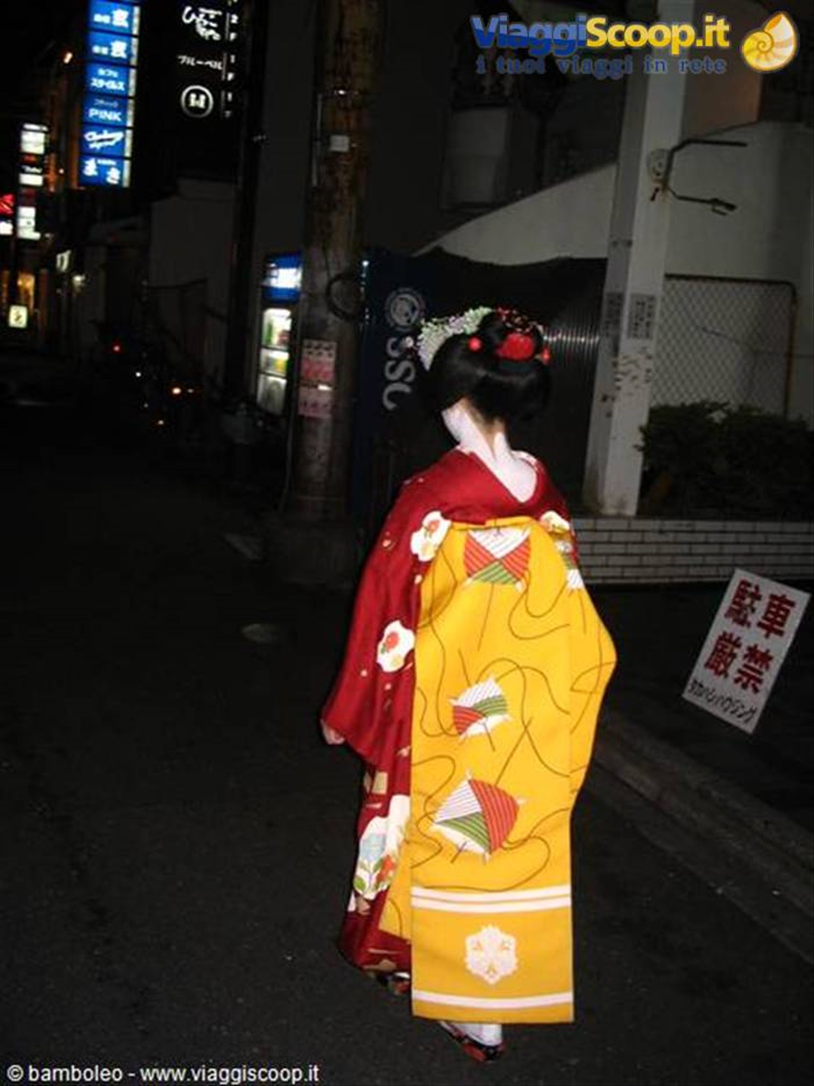 Geisha-Kyoto