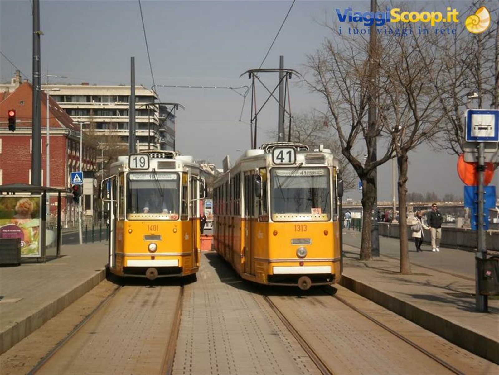 Filobus